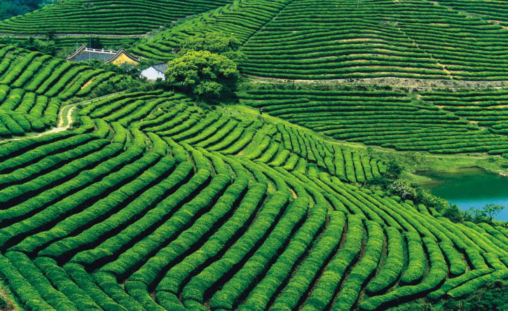 廢棄礦山香蕉视频播放器3