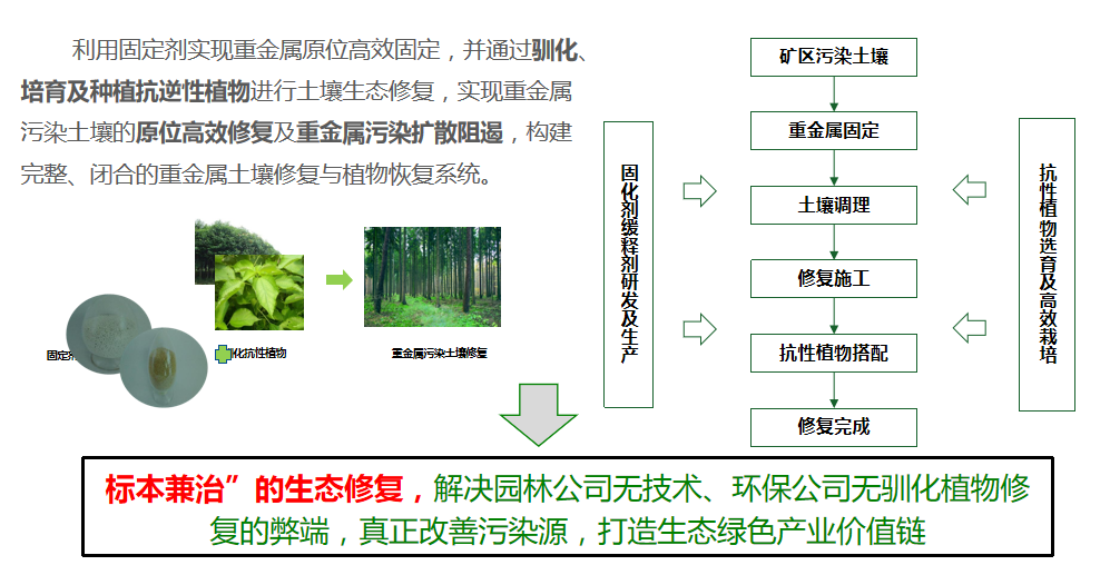 香蕉视频播放器方案優勢