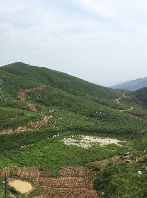 冷水江錫礦山香蕉视频播放器中2