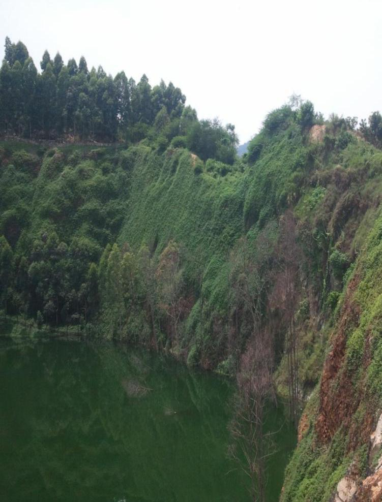 東莞黃閣嶺采石場土工格柵法山體香蕉视频播放器