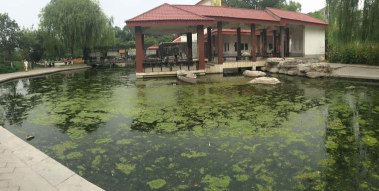 河北省保定市公園水生態之汙水香蕉视频播放器處理