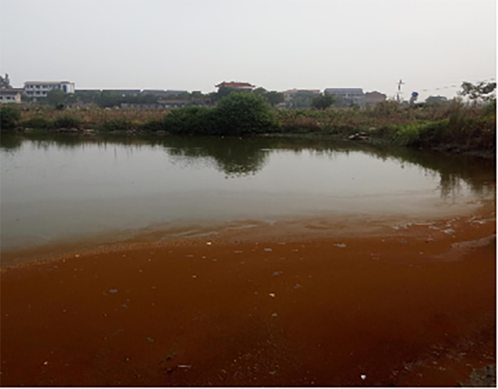衡陽縣蒸水流域山水林田湖草生態保護香蕉视频播放器工程試點項目